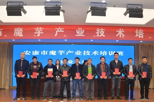安康市魔芋產業技術培訓班圓滿完成 圖