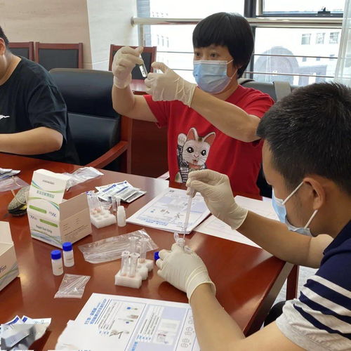 商會舉辦 食品安全檢測技術 培訓班,以技術支持為行業發展增添新動能