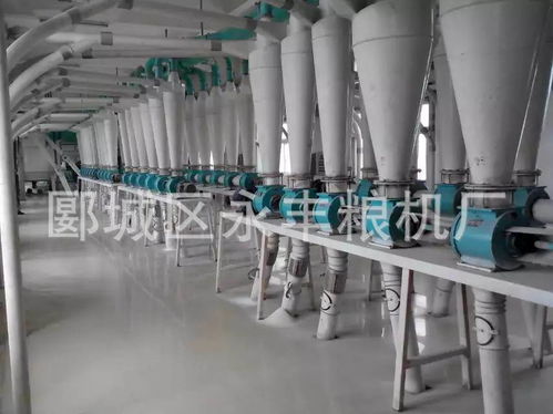 樓房結構成套設備 日處理500噸小麥麪粉廠