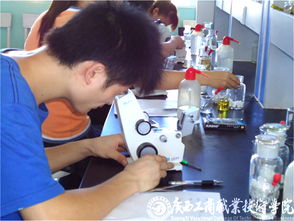 我院食品檢驗(yàn)工職業(yè)技能培訓(xùn)與鑒定工作圓滿結(jié)束