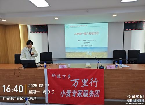 我校小麥專家在廣安開展 天府糧倉 百縣千片 小麥生產技術 培訓會