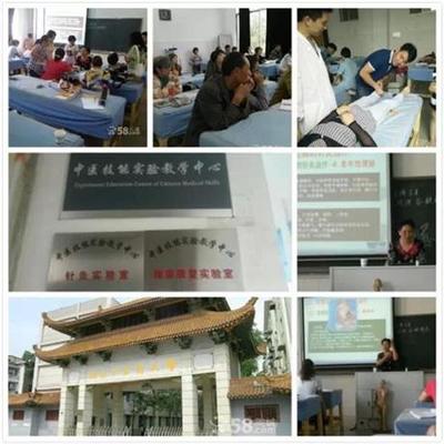 【浙江針灸培訓哪里有,包拿證包學會】價格,廠家,專業技能培訓-搜了網移動版