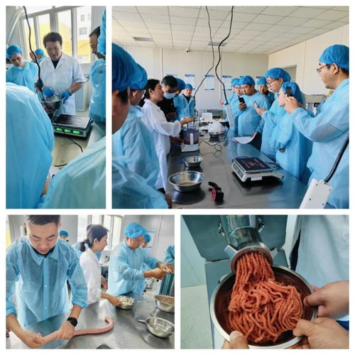 香腸加工技術(shù)培訓(xùn)班在煙臺(tái)成功舉辦 理論與實(shí)操結(jié)合助力學(xué)員掌握全套技術(shù)