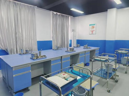 武漢技能高考復讀能上哪些學校