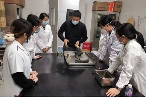 練就 火眼金睛 弘揚中醫文化 訪中藥鑒定能手黃慶寶