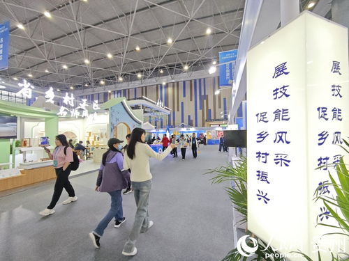 從賽場看鄉村振興的工匠力量 技術培訓的賦能之路