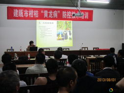 建甌市柑橘黃龍病防控技術培訓