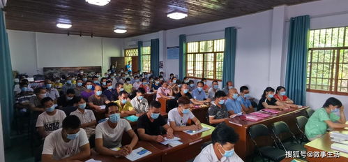 龍州縣農業技術培訓學習班助力產業升級，農業發展迎來新希望