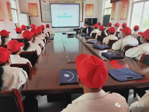 技能培訓(xùn)點(diǎn)亮脫貧路，靈臺(tái)全力賦能促增收